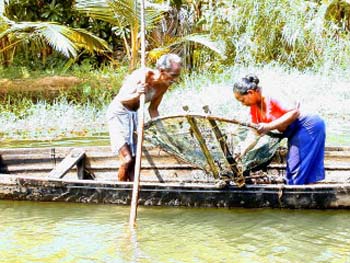 Backwaters / INDIA, 2002